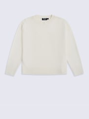 Animal Cream Fluffy Jumper - Image 1 of 4
