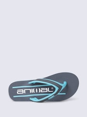 Animal Light Blue Jekyl Flip Flops - Image 2 of 4