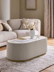 Light Grey Valencia Mango Wood Large Coffee Table - Image 1 of 7