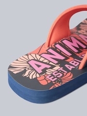 Žabky Animal Swish - Obrázek 5 z 5
