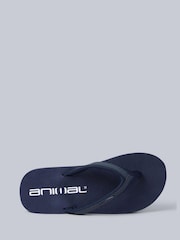 Animal Blue Swish Flip Flops - Image 2 of 5