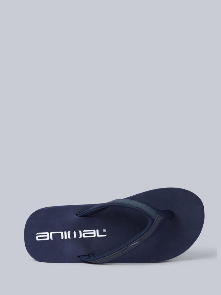 Animal Blue Swish Flip Flops - Image 2 of 5 Animal Blue Swish Flip Flops - Image 2 of 5
