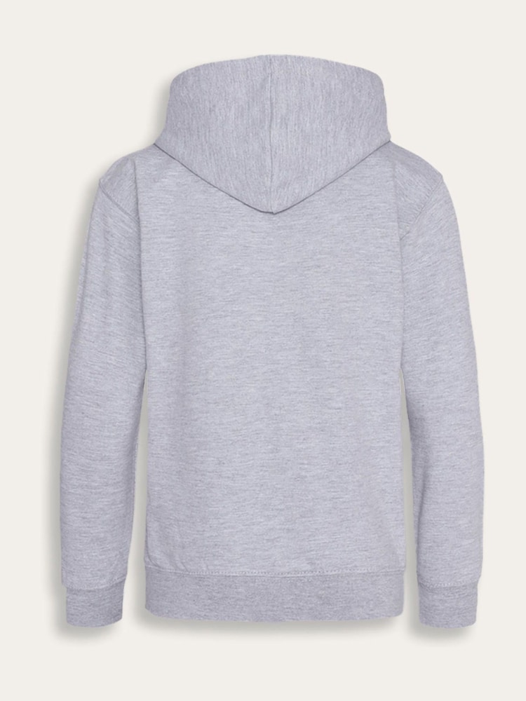 Brand Threads Grey Toy Story Graphic Lotso Hoodie - Image 5 of 5