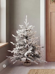 Charles Bentley Green 3ft Pre-Lit Faux Snowy Christmas Tree - Image 1 of 6