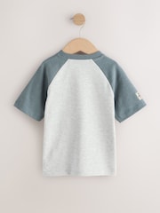 Grau - Langarm Raglan-T-Shirts im 3er-Pack (3 Monate bis 7 Jahre) - Bild 5 von 7