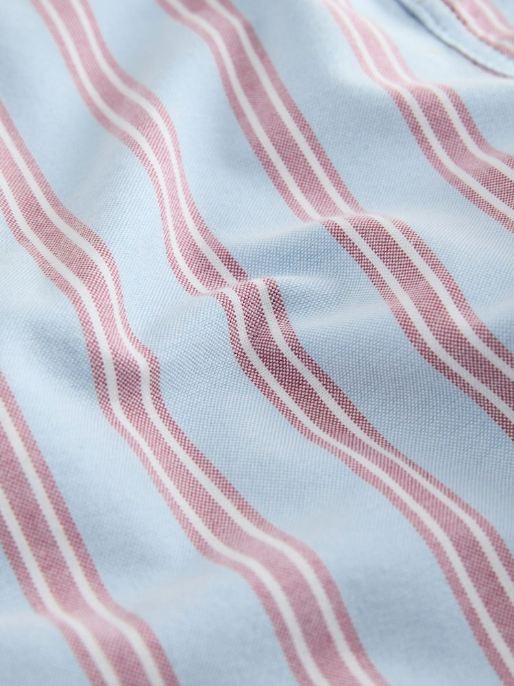 Blue Cotton Stripe Chino Shorts - Image 11 of 11 Blue Cotton Stripe Chino Shorts - Image 11 of 11
