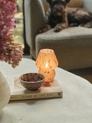 Abigail Ahern Coral Cady Portable Glass Table Lamp - Image 1 of 4