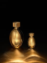 Cashmere Intense Gold 100ml &amp; 10ml and Perfume Gift Set - Image 2 of 3