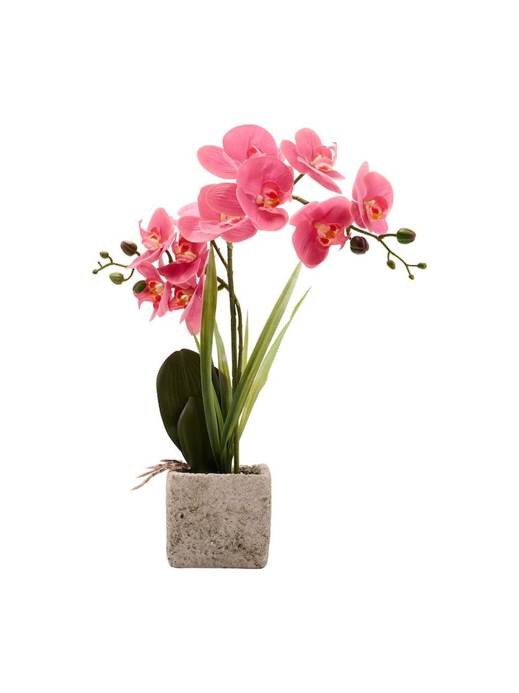 Widdop Pink Artificial Potted Orchid - Image 1 of 3 Widdop Pink Artificial Potted Orchid - Image 1 of 3