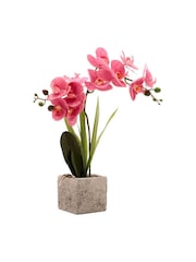 Widdop Pink Artificial Potted Orchid - Image 2 of 3