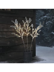 Lights4fun Set of 3 Pre Lit Frosted Pine Micro LED Branches - Image 1 of 3