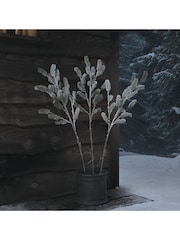 Lights4fun Set of 3 Pre Lit Frosted Pine Micro LED Branches - Image 2 of 3