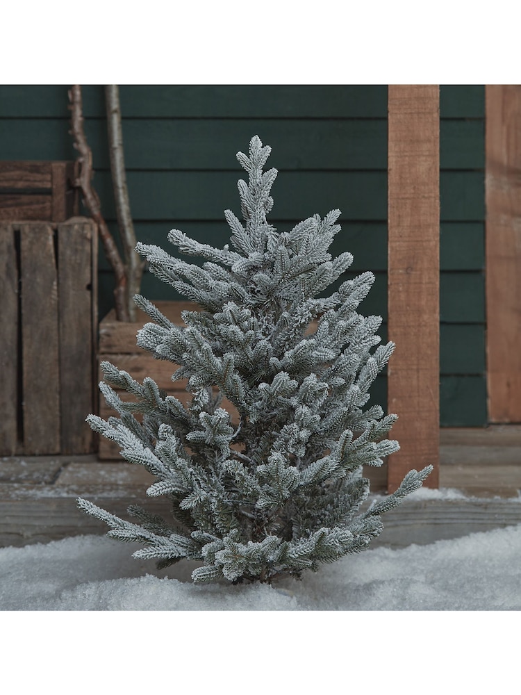 Lights4fun 3ft Dual Colour LED Christmas Tree Stake Light - Image 1 of 4 Lights4fun 3ft Dual Colour LED Christmas Tree Stake Light - Image 1 of 4