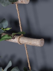 Dibor Eucalyptus Christmas Tree Ladder - Image 5 of 5