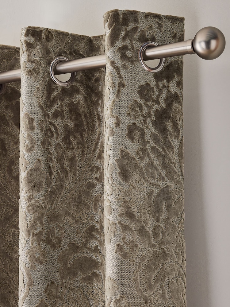 Champagne Gold Collection Luxe Heavyweight Velvet Damask Eyelet Lined Curtains - Image 1 of 8 Champagne Gold Collection Luxe Heavyweight Velvet Damask Eyelet Lined Curtains - Image 1 of 8