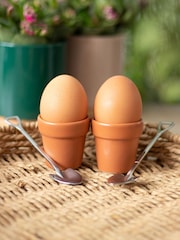 Something Different Brown Plant Pot Egg Cup Set with Shovel Spoons - Image 1 of 4
