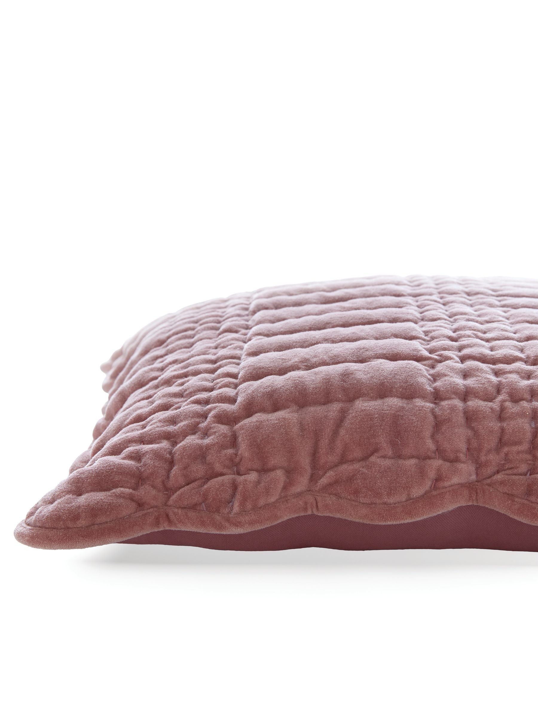 Buy Laura Ashley Old Rose Pink 43 X 43cm Scalloped Cushion from