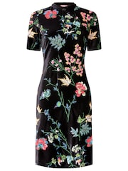 Joe Browns Boutique Velour Floral Sequin Dress - Imagen 6 de 6