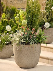 Garden Trading Grey Cranford Planter - Image 1 of 3