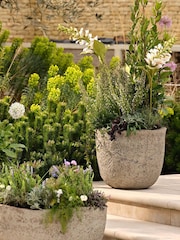 Garden Trading Grey Cranford Planter - Image 2 of 3