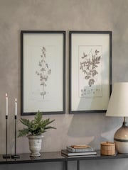 One.World Set of 2 Natural Ashmore Rufum and Chilli Framed Wall Arts Print - Image 1 of 2