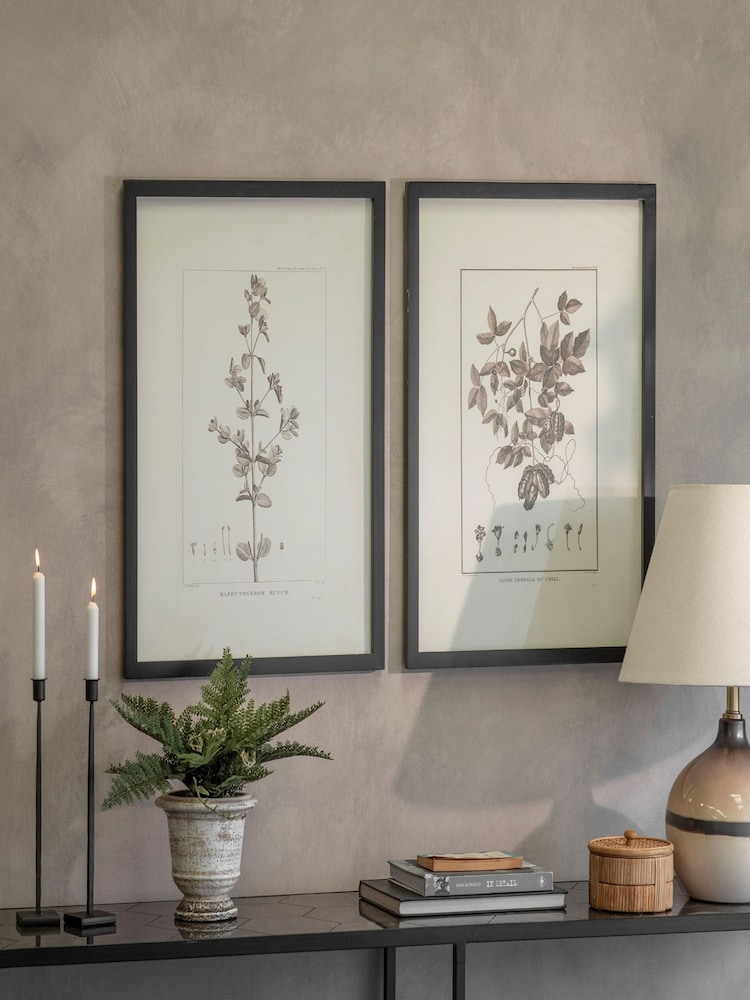 One.World Set of 2 Natural Ashmore Rufum and Chilli Framed Wall Arts Print - Image 1 of 2 One.World Set of 2 Natural Ashmore Rufum and Chilli Framed Wall Arts Print - Image 1 of 2