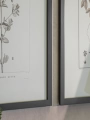 One.World Set of 2 Natural Ashmore Rufum and Chilli Framed Wall Arts Print - Image 2 of 2