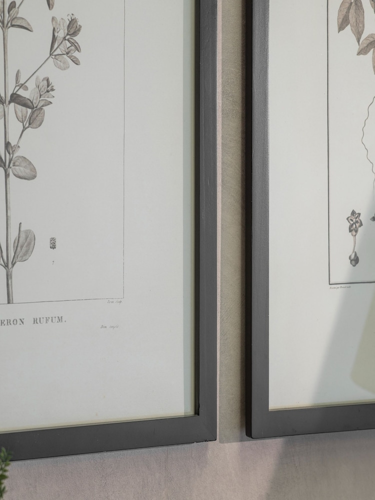 One.World Set of 2 Natural Ashmore Rufum and Chilli Framed Wall Arts Print - Image 2 of 2 One.World Set of 2 Natural Ashmore Rufum and Chilli Framed Wall Arts Print - Image 2 of 2