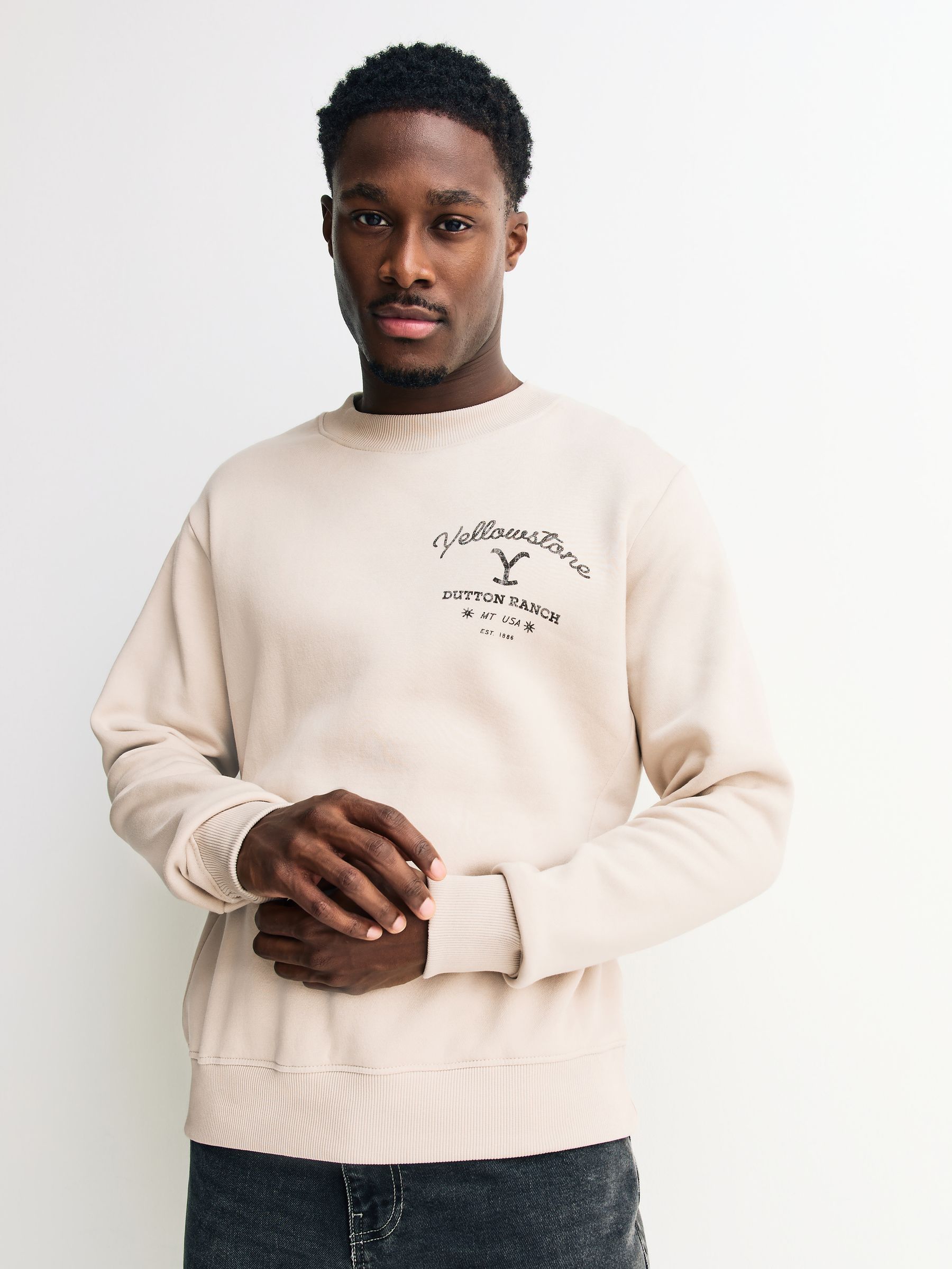 Buy Stone Neutral Graphic Crew Neck Sweatshirt from Next France