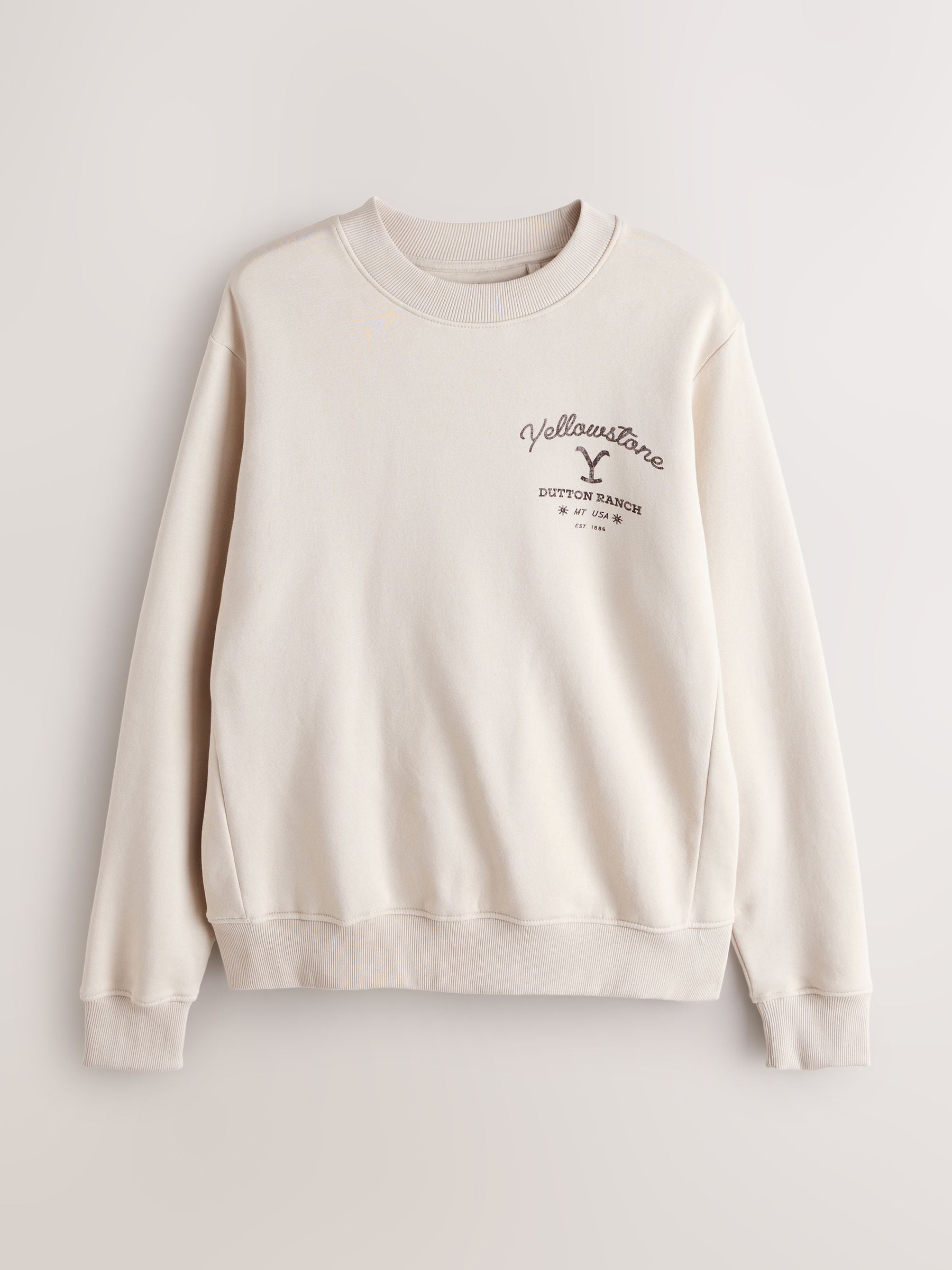 Buy Stone Neutral Graphic Crew Neck Sweatshirt from Next USA