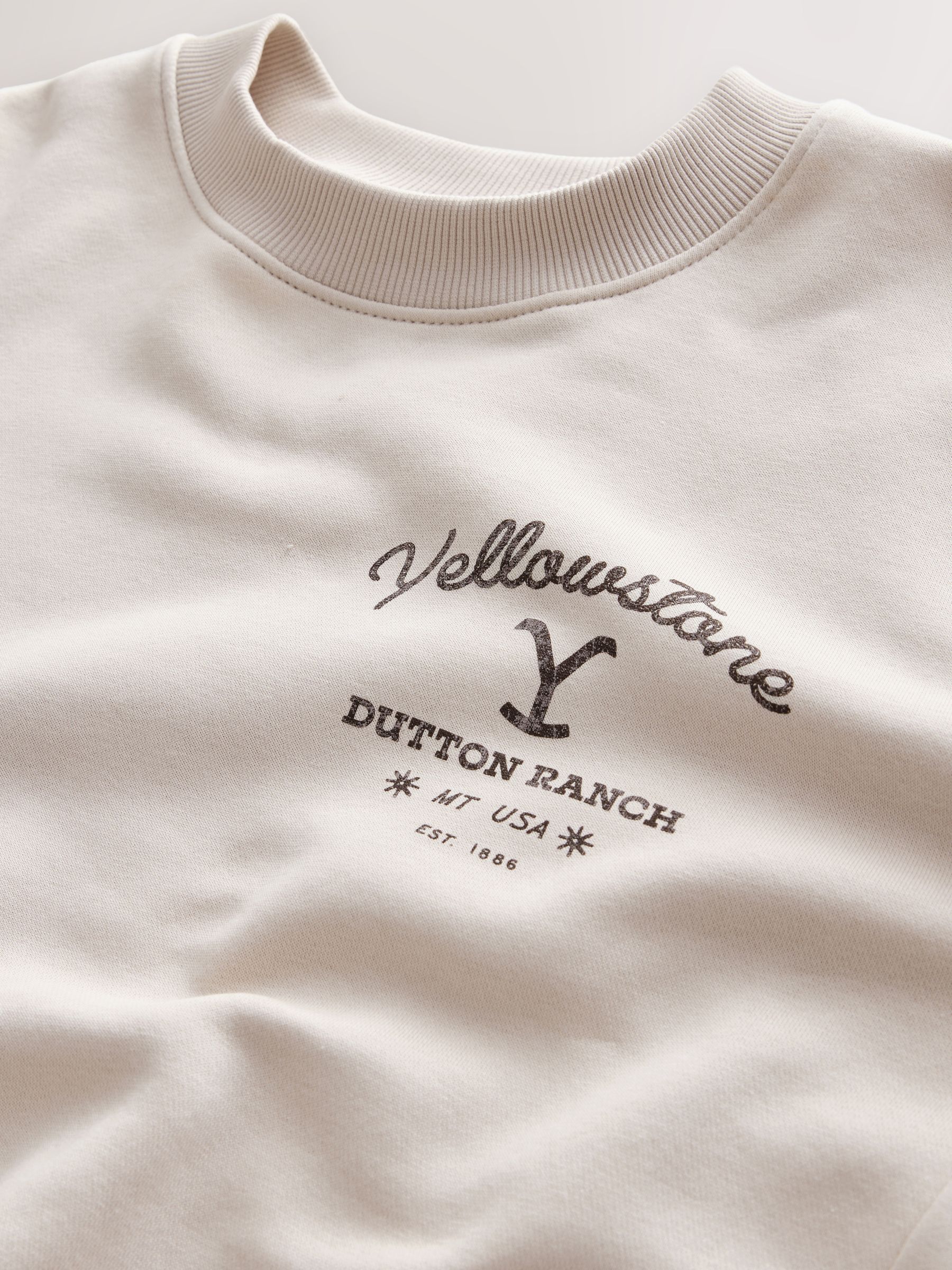 Buy Stone Neutral Graphic Crew Neck Sweatshirt from Next USA