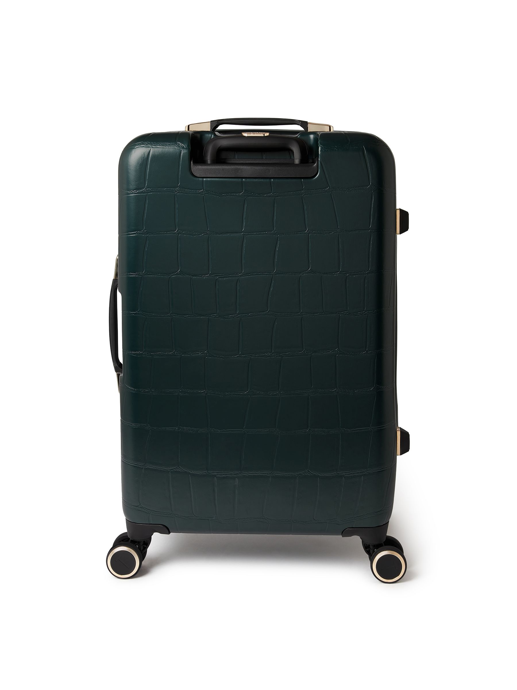 Buy Ted Baker Green Icon Case Croc Medium Suitcase from Next USA