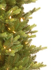 Premier Decorations Ltd 6.5ft Pre Lit Carrington Fir Christmas Tree - Image 3 of 5