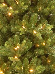 Premier Decorations Ltd 6.5ft Pre Lit Carrington Fir Christmas Tree - Image 4 of 5