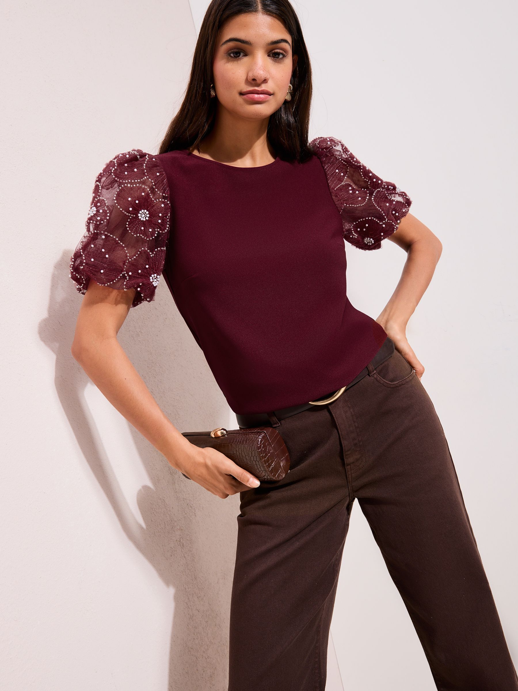 Buy Friends Like These Burgundy Rose Detail Puff Sleeve Top from