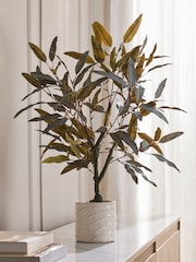 Árbol de eucalipto artificial en maceta de cerámica. - Imagen 1 de 3
