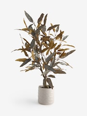 Árbol de eucalipto artificial en maceta de cerámica. - Imagen 2 de 3