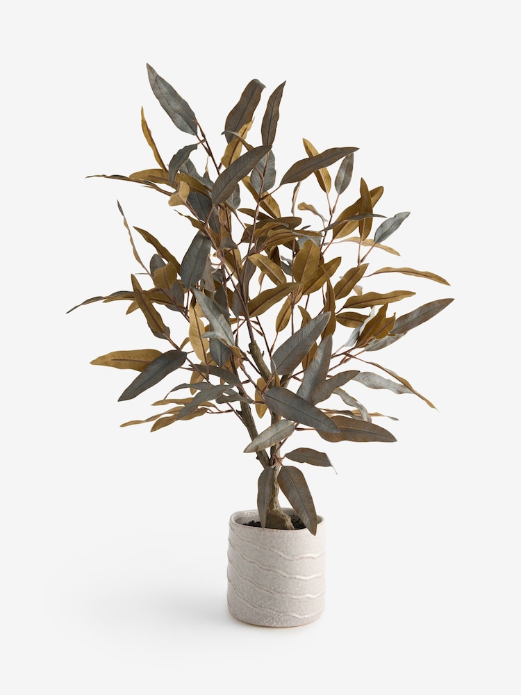 Árbol de eucalipto artificial en maceta de cerámica. - Imagen 2 de 3