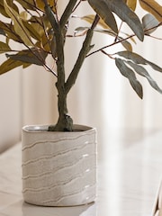 Árbol de eucalipto artificial en maceta de cerámica. - Imagen 3 de 3