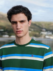 Green/Blue Regular Fit Horizontal Striped T-Shirt - Image 1 of 7