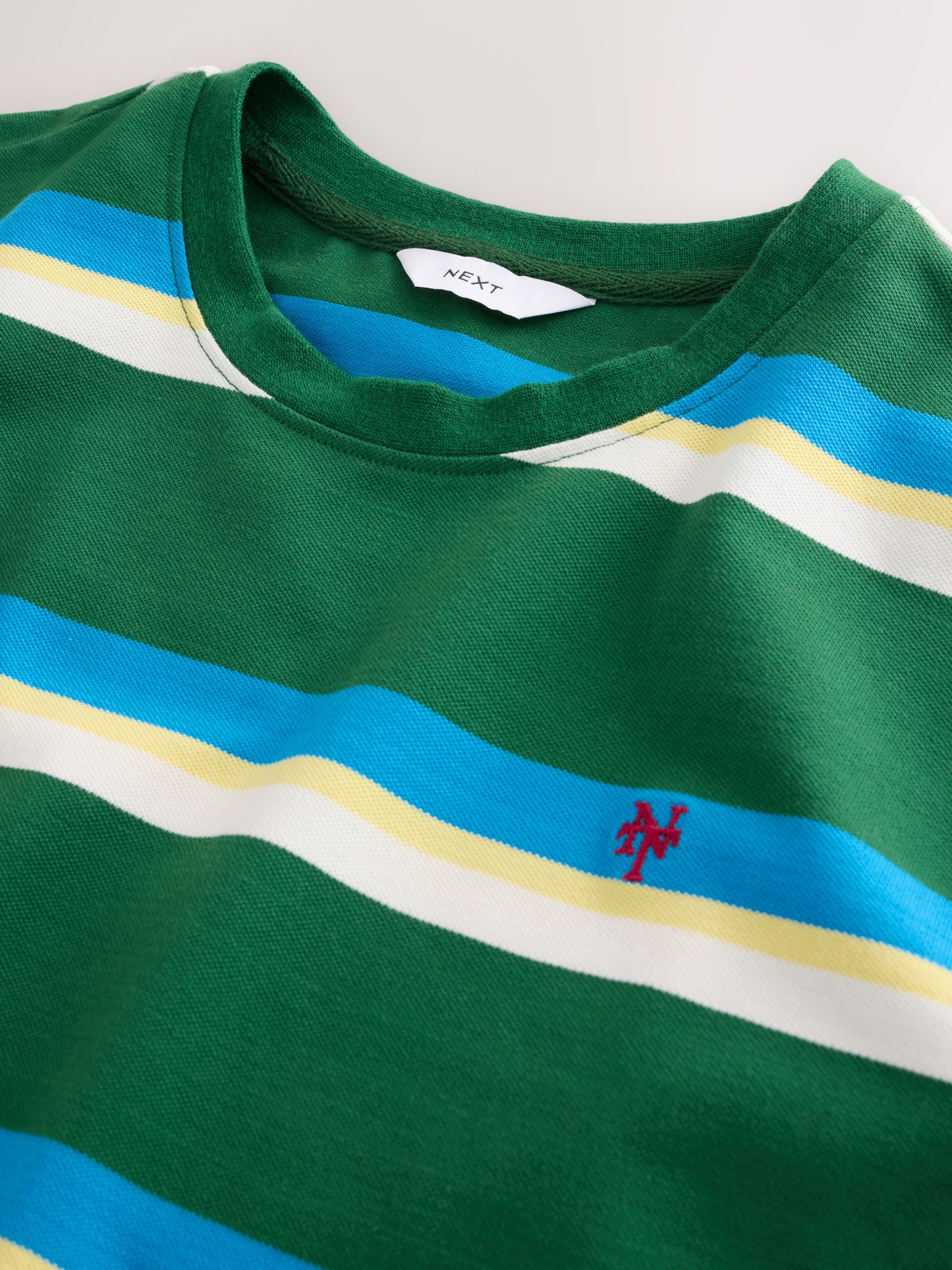 Buy Green/Blue Regular Fit Horizontal Striped T-Shirt from Next