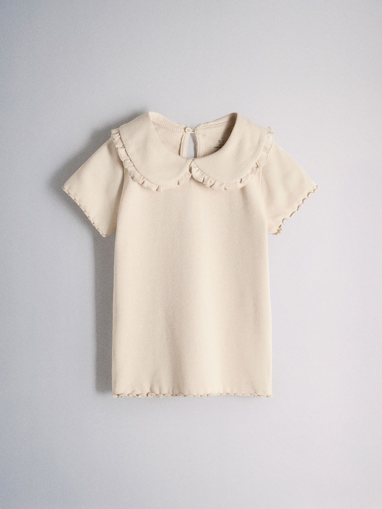 The Set 4 Pack Short Sleeve Rib Jersey Collared Tops Pink/Grey/Beige/White - Image 2 of 6 The Set 4 Pack Short Sleeve Rib Jersey Collared Tops Pink/Grey/Beige/White - Image 2 of 6