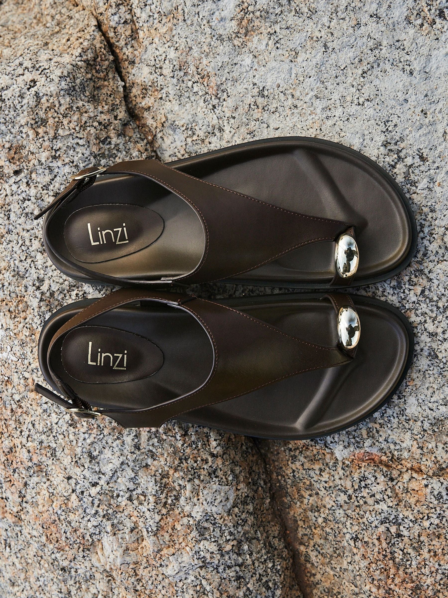 Buy Linzi Brown Latch Toe Ring Flat Sandals from Next USA