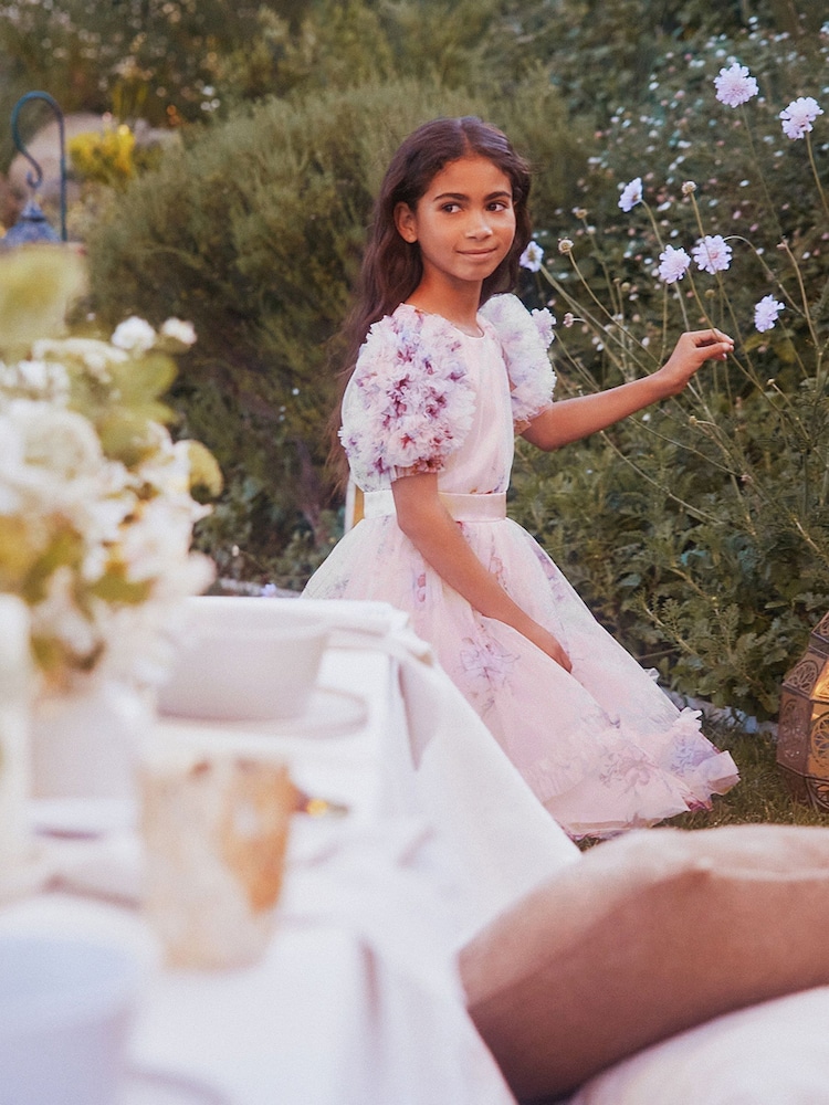 Buy Angel & Rocket Pink Florence Blush Ruffle Sleeve Mesh Dress from Next  Ireland