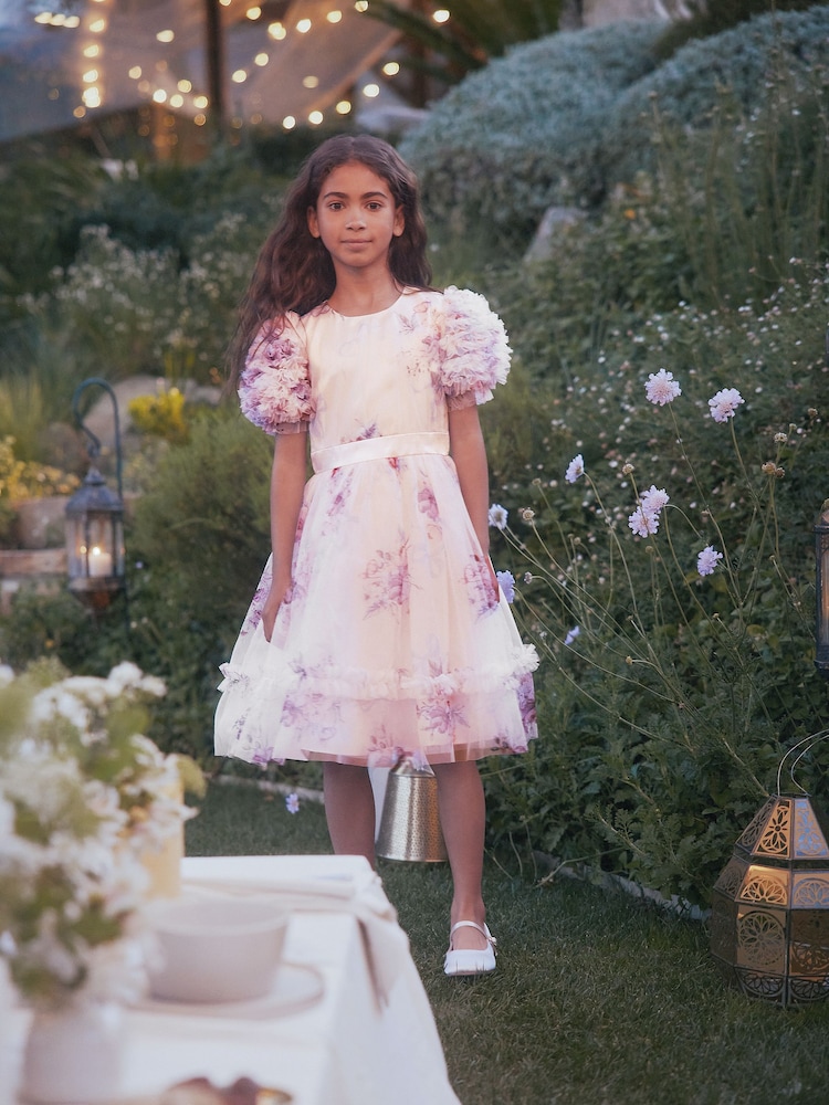 Buy Angel & Rocket Pink Florence Blush Ruffle Sleeve Mesh Dress from Next  Ireland