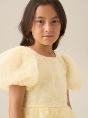 أصفر - فستان Francine مزخرف بكُم منفوخ من Angel & Rocket - صورة 12 من 17