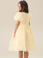 Galben - Angel & Rocket Francine Embellished Puff Sleeve Dress - Imaginea 13 din 17