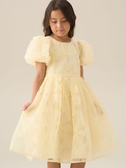 Galben - Angel & Rocket Francine Embellished Puff Sleeve Dress - Imaginea 14 din 17