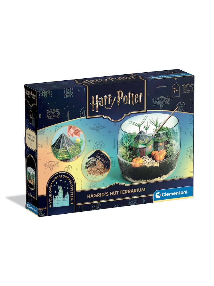 Harry Potter Hagrids Hut Terrarium - Image 1 of 5