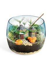 Harry Potter Hagrids Hut Terrarium - Image 2 of 5